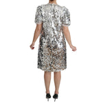 Dolce & Gabbana Elegant Silver A-Line Dress with Crystal Accents Dolce & Gabbana Rosy Brown