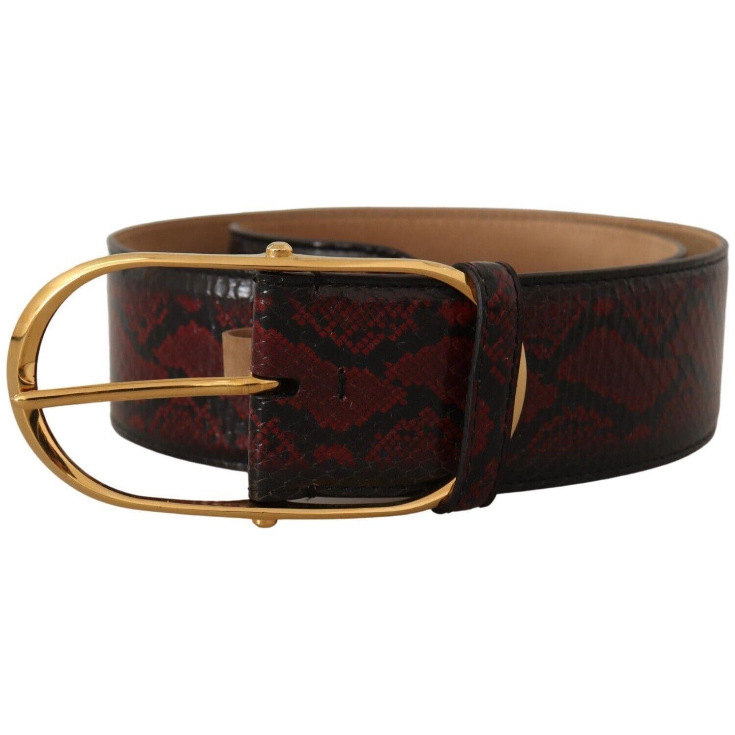 Dolce & Gabbana Elegant Red Python Leather Belt with Gold Buckle WOMAN BELTS Dolce & Gabbana Black