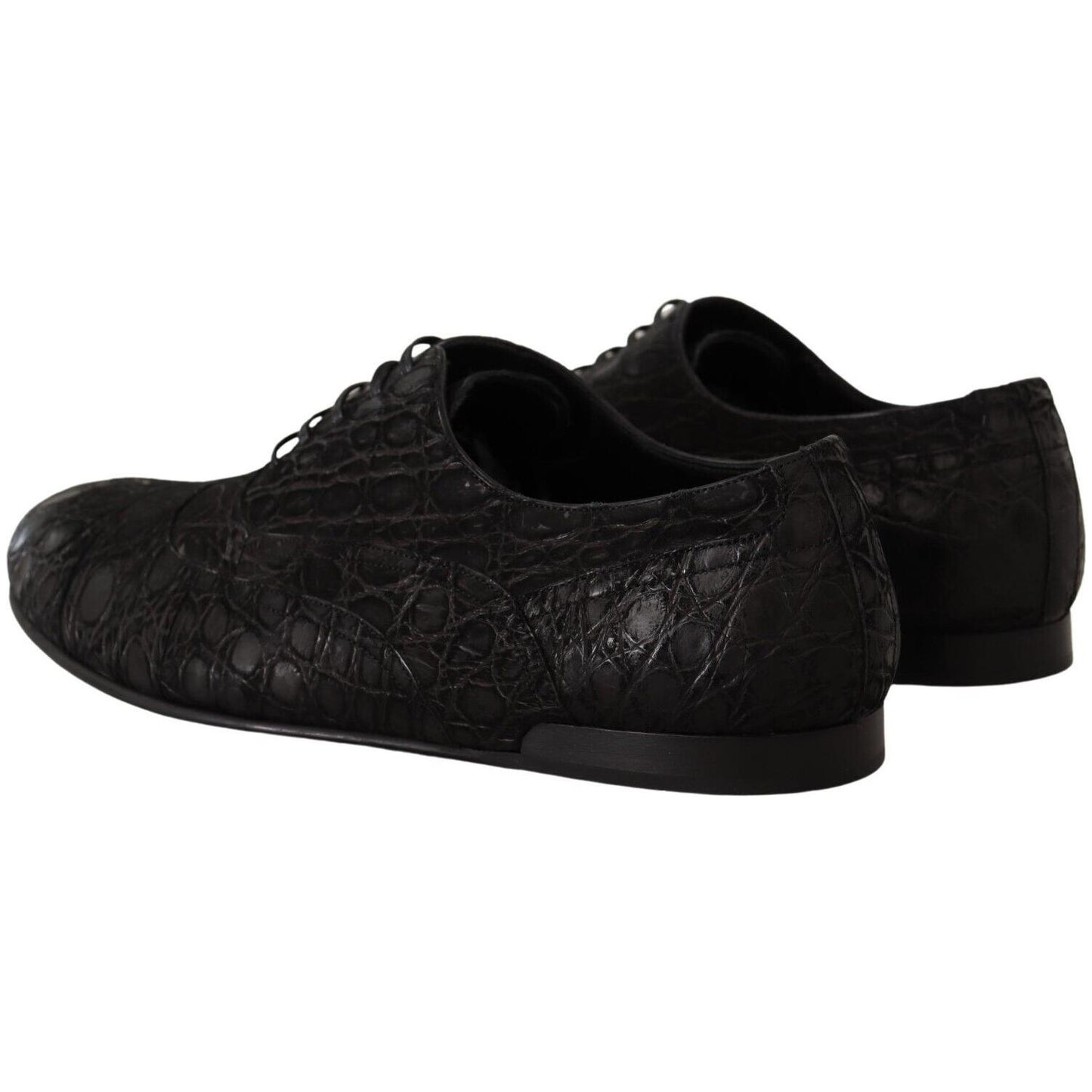 Dolce & Gabbana Elegant Exotic Leather Oxford Shoes Dolce & Gabbana Black
