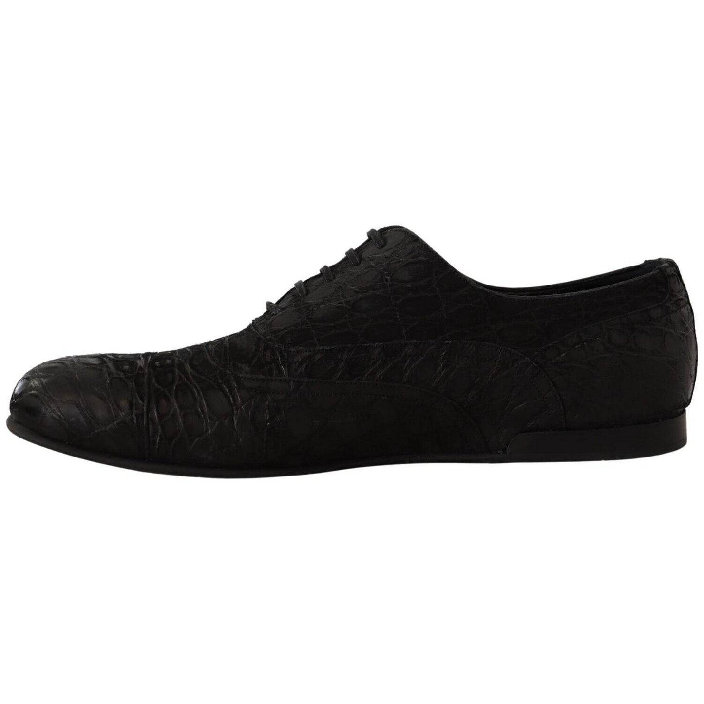 Dolce & Gabbana Elegant Exotic Leather Oxford Shoes Dolce & Gabbana Black