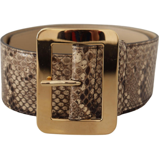 Dolce & Gabbana Brown Exotic Wide Waist Leather Gold Metal Buckle Belt