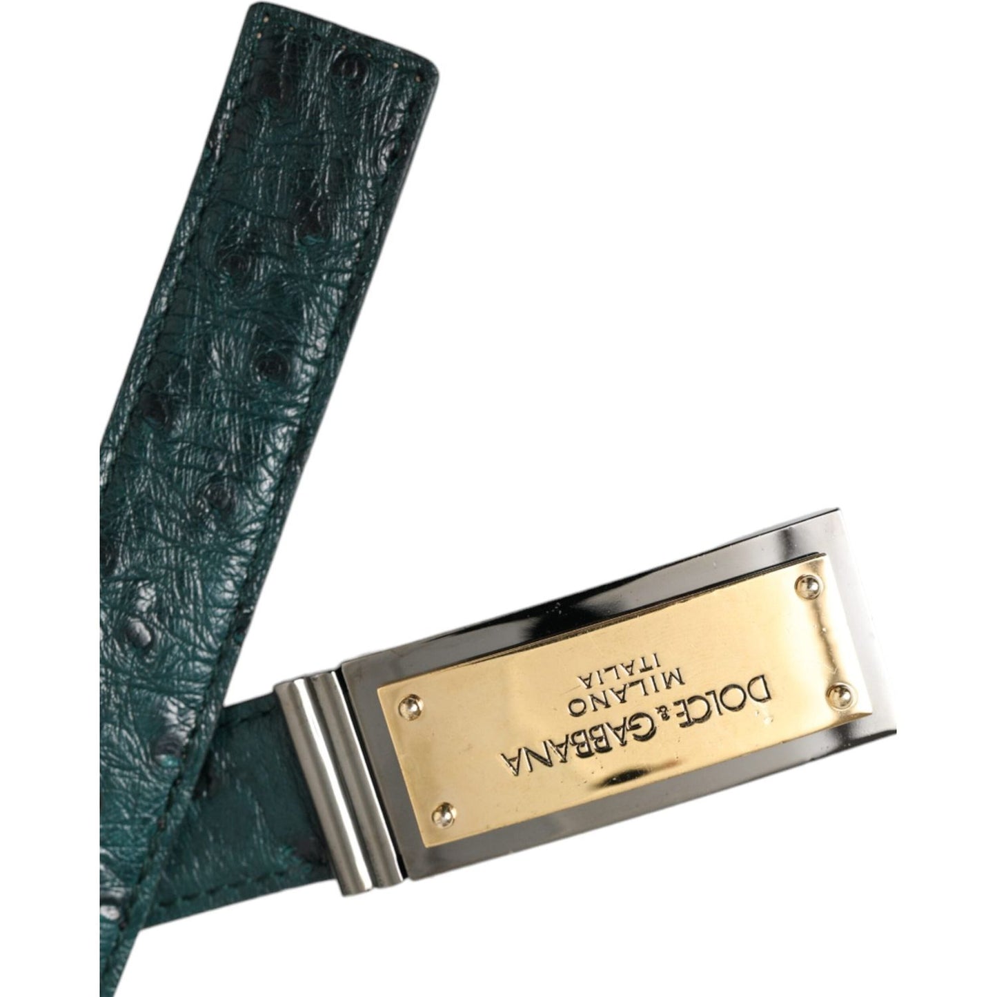 Dolce & Gabbana Green Leather Gold Logo Engraved Buckle Belt Dolce & Gabbana Wheat