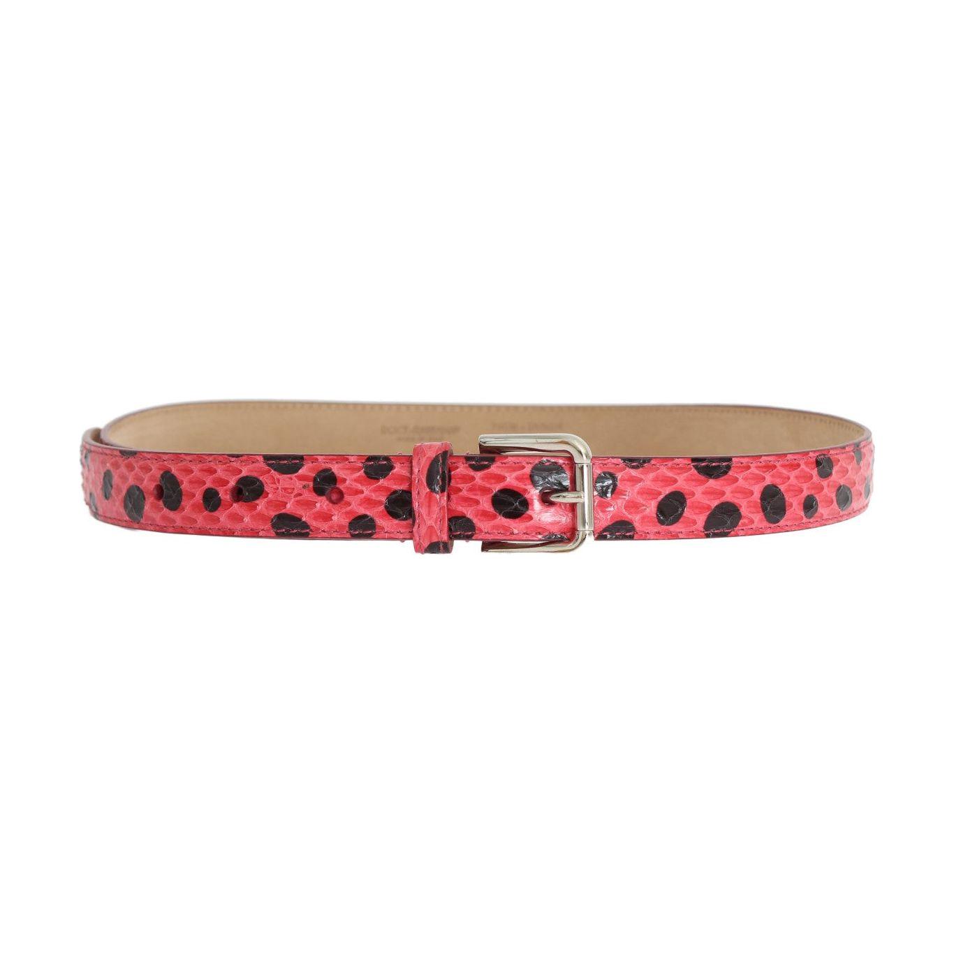Dolce & Gabbana Polka Dot Snakeskin Belt with Silver Buckle Belt Dolce & Gabbana Rosy Brown