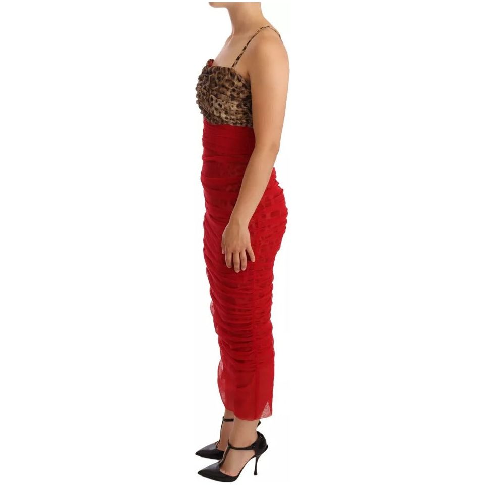 Dolce & Gabbana Brown Leopard Red Tulle Sheath Midi Dress DR28736-36