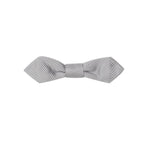 Dolce & Gabbana Gray Silk Ties & Bowty