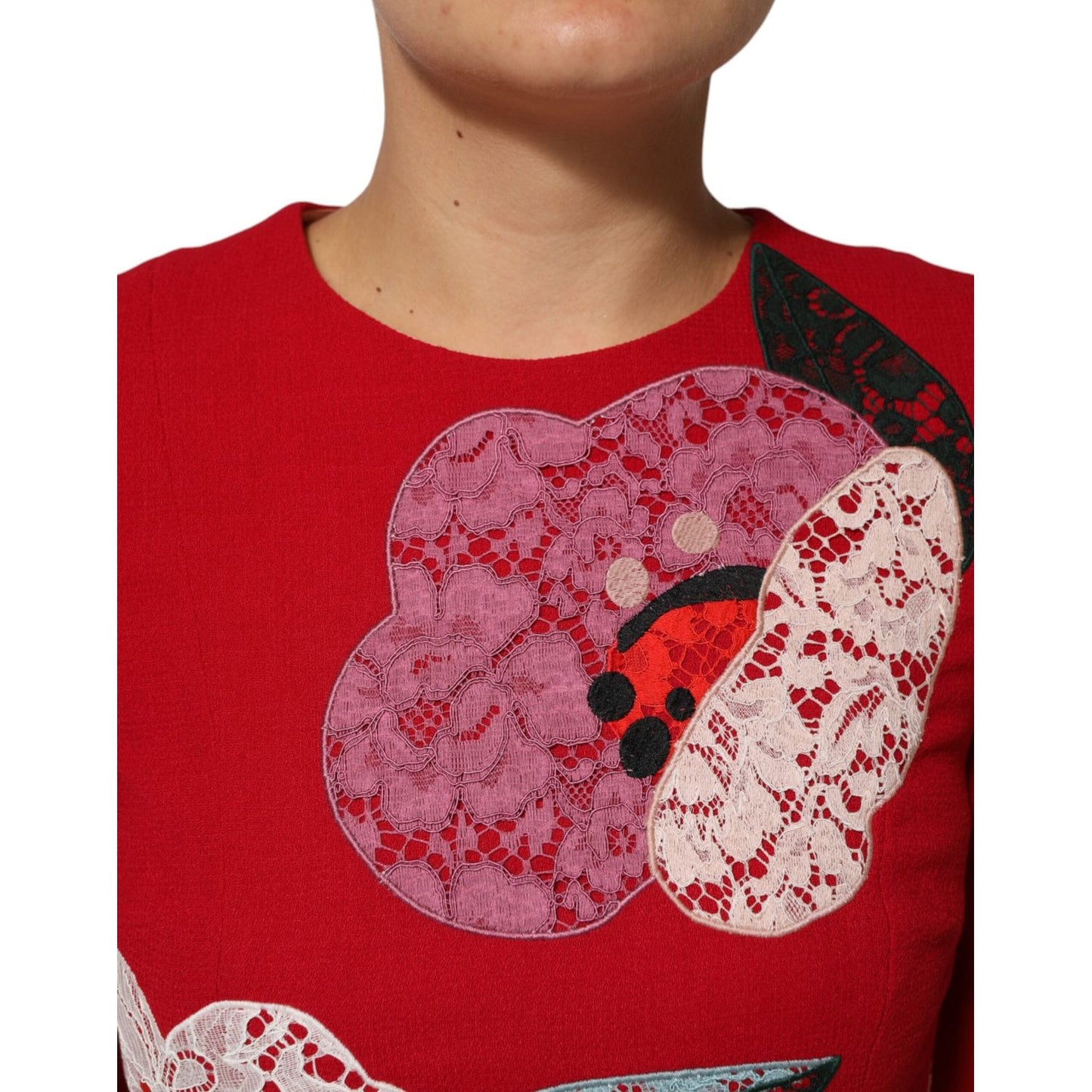 Dolce & Gabbana Red Lace Floral Applique A-line Mini Dress DR81748-36