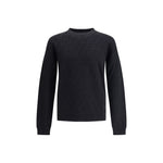 Fendi FF Sweater FE-FZX091AUW0F0QA1-IT48 | M