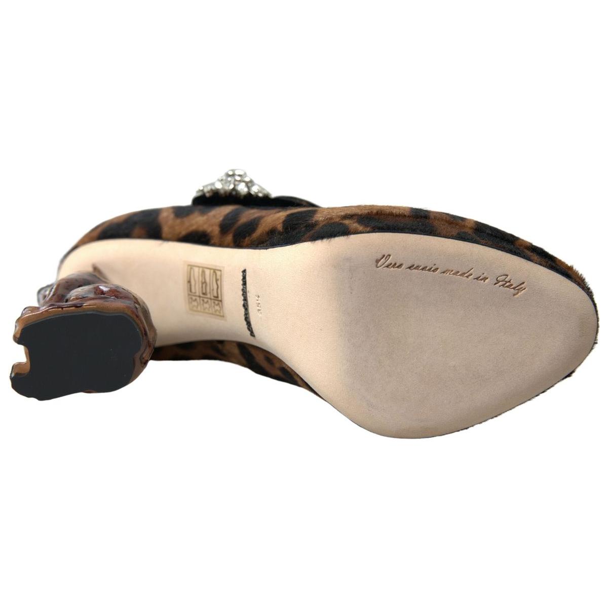 Dolce & Gabbana Elegant Leopard Heel Pumps for Chic Sophistication LA10270-35.5