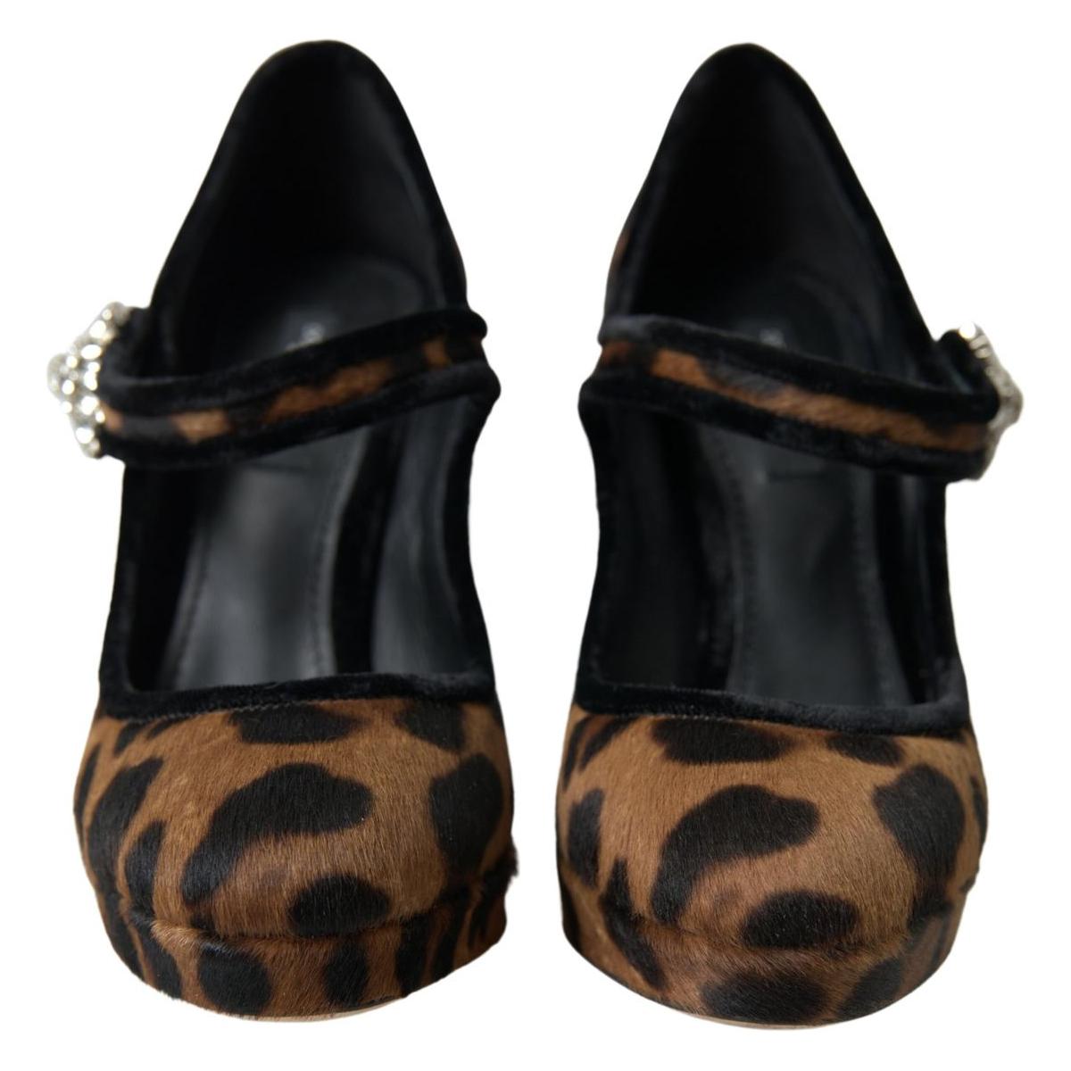 Dolce & Gabbana Elegant Leopard Heel Pumps for Chic Sophistication LA10270-35.5