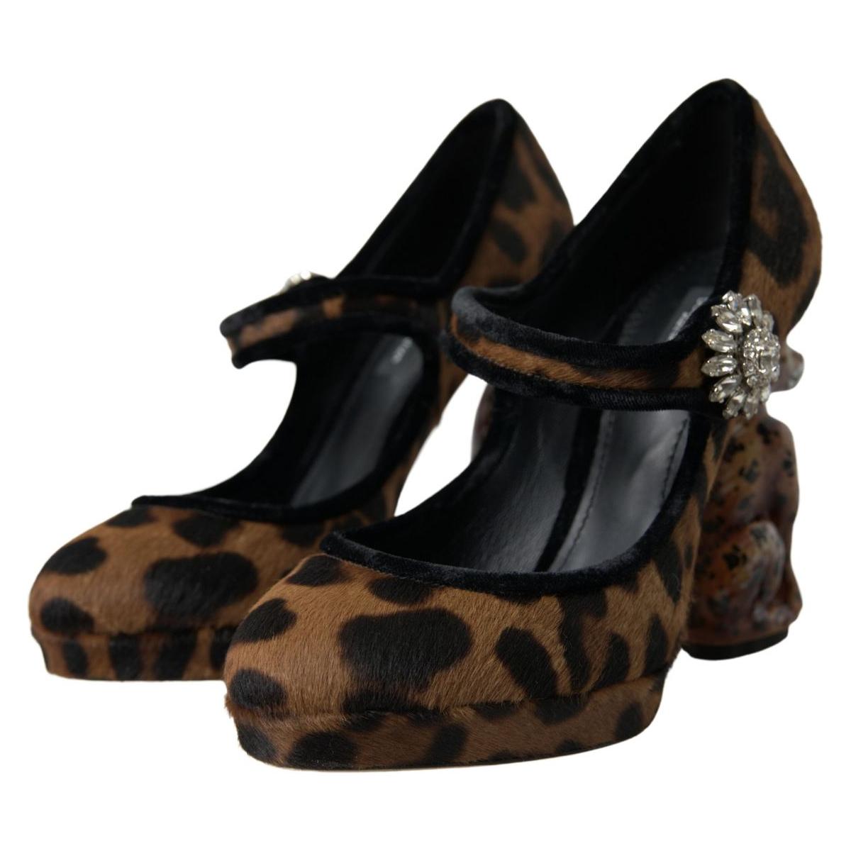 Dolce & Gabbana Elegant Leopard Heel Pumps for Chic Sophistication LA10270-35.5