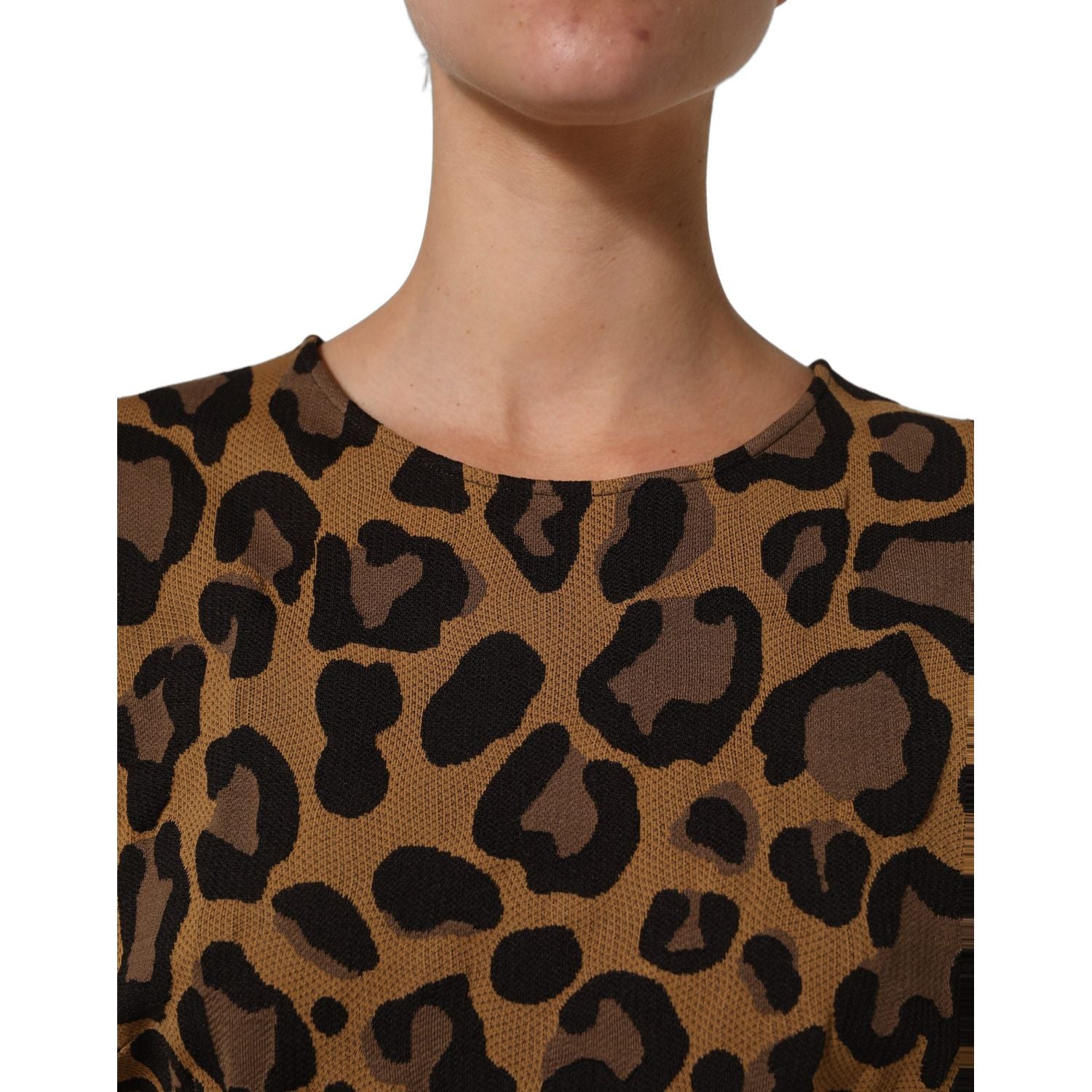 Dolce & Gabbana Brown LeopardPrint Flared A-line Mini Dress