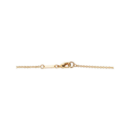 Dolce & Gabbana Gold Brass Necklace