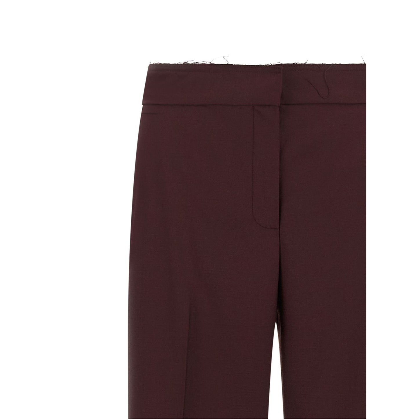 Gianluca Capannolo Purple Polyester Pants
