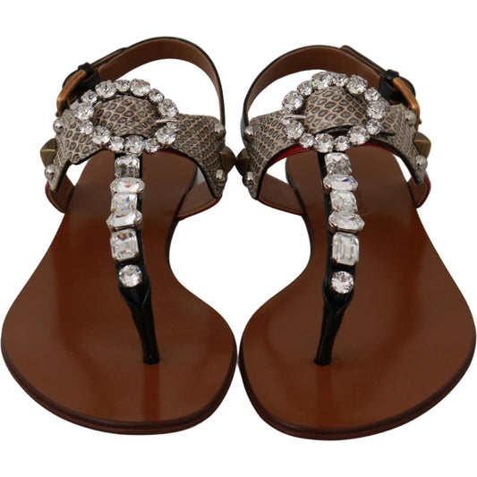 Dolce & Gabbana Dolce & Gabbana Elegant Strappy Sandals with Exotic Charm LA6458-35 1728,60% Ayers,67345645728,Brown,Dolce & Gabbana,EU35/US4.5,EU36/US5.5,Flat Shoes - Women - Shoes,Material: 40% Leather,New with tags,Shoes,Women,Women - Shoes