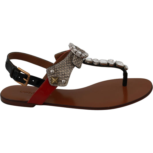 Dolce & Gabbana Dolce & Gabbana Elegant Strappy Sandals with Exotic Charm LA6458-35 1728,60% Ayers,67345645728,Brown,Dolce & Gabbana,EU35/US4.5,EU36/US5.5,Flat Shoes - Women - Shoes,Material: 40% Leather,New with tags,Shoes,Women,Women - Shoes