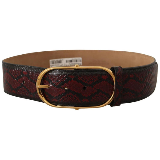 Dolce & Gabbana Elegant Red Python Leather Belt with Gold Buckle WOMAN BELTS Dolce & Gabbana Black