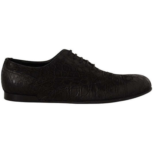 Dolce & Gabbana Elegant Exotic Leather Oxford Shoes Dolce & Gabbana Black