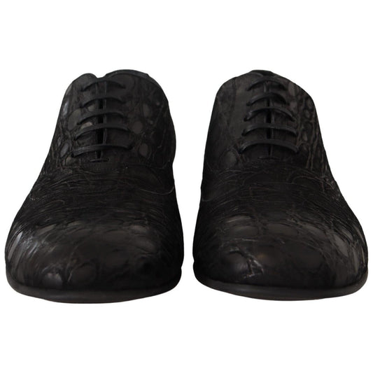 Dolce & Gabbana Elegant Exotic Leather Oxford Shoes Dolce & Gabbana Black
