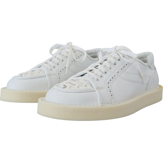 Dolce & Gabbana Elegant White Low Top Oxford Sneakers Dolce & Gabbana Gray