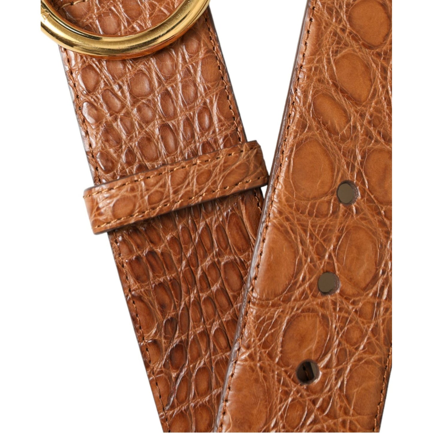 Dolce & Gabbana Brown Exotic Leather Round Buckle Belt