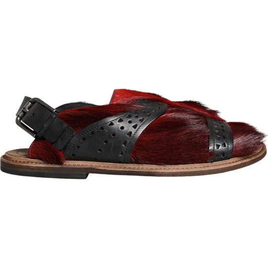 Dolce & Gabbana Black Red Gazelle Hair Leather Sandals Shoes Dolce & Gabbana Dark Slate Gray