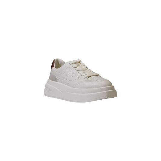 ASH Bordeaux Leather Sneaker ASH Gray