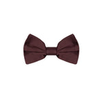 Dolce & Gabbana Burgundy Silk Ties & Bowty