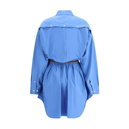 Miu Miu Chemisier Dress