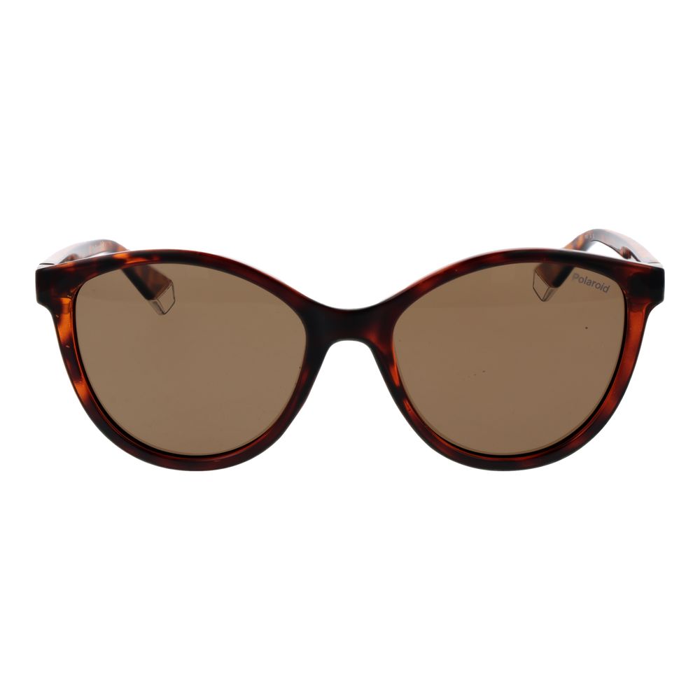 Polaroid Brown Plastic Sunglasses