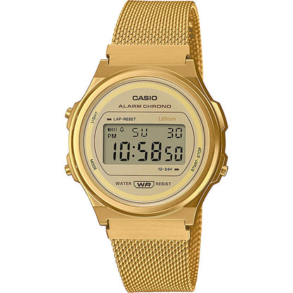 CASIO VINTAGE Mod. ROUND - GOLD MESH