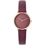 PIERRE CARDIN MOD. CBV-1506 WATCHES