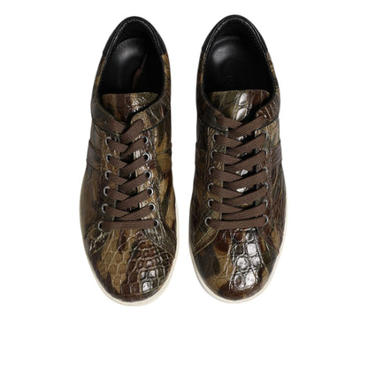 Dolce & Gabbana Brown Exotic Leather Low Top Sneakers Shoes