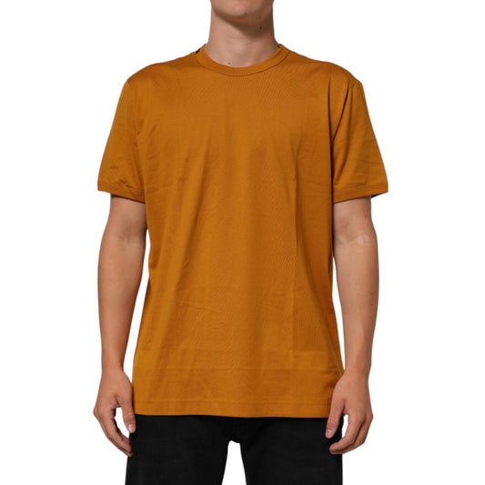 Man wearing Dolce & Gabbana Golden Brown Crew Neck Short Sleeve T-shirt, Italian style, 100% cotton, regular fit, luxury fashion.