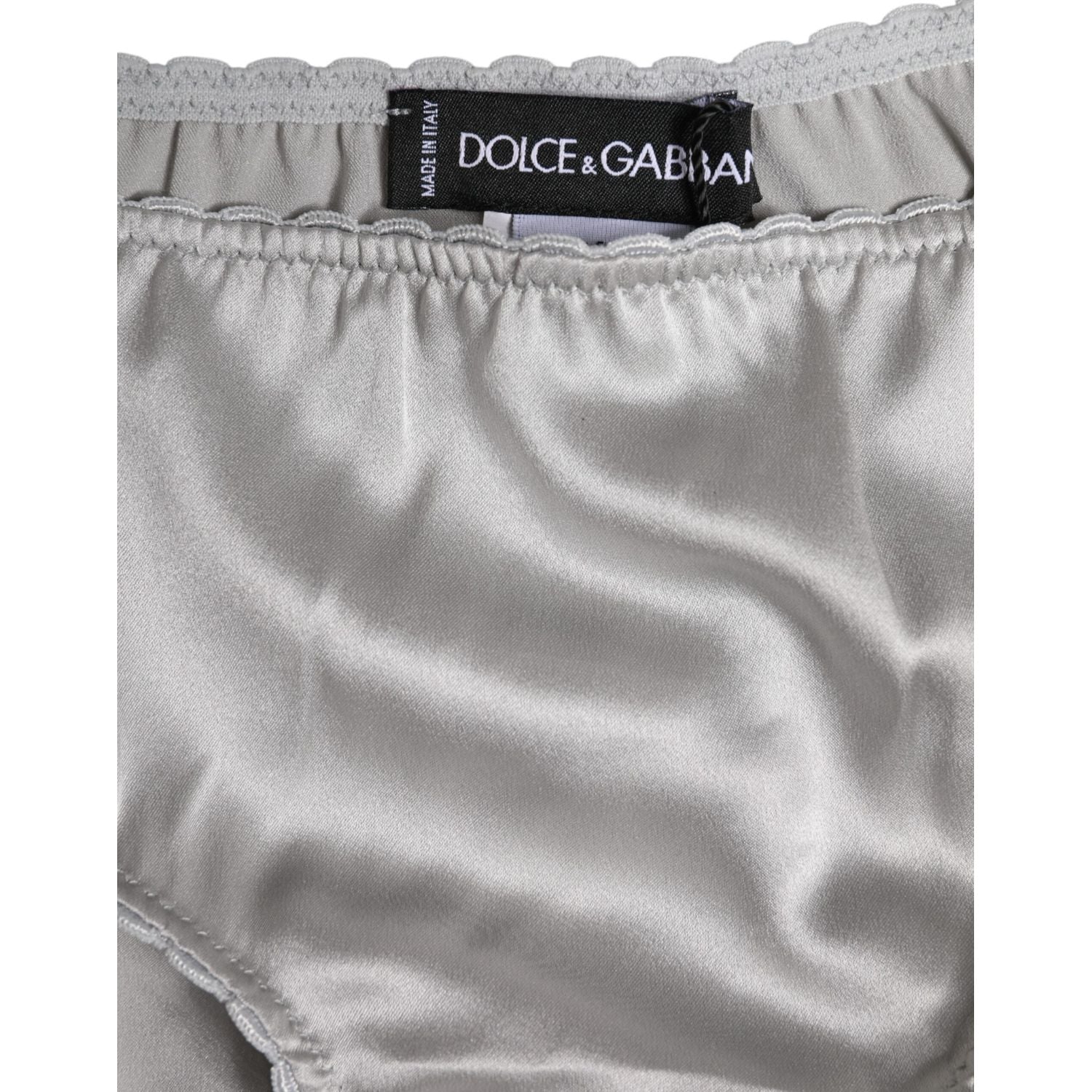 Dolce & Gabbana Gray Silk Stretch Bottom Low Waist Panty Underwear