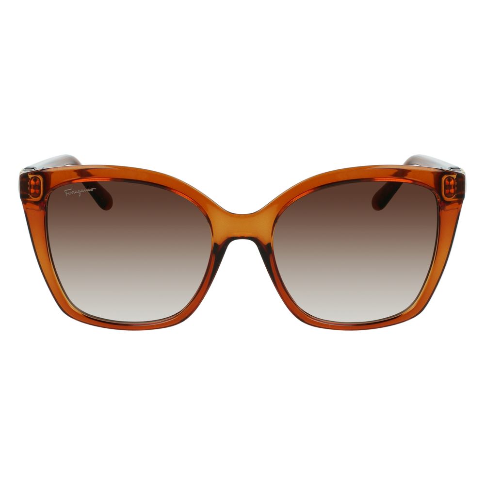 Ferragamo Brown Injected Sunglasses1728,67434610848,Accessories,Brown,Ferragamo,Glasses and Sunglasses - Accessories,New with tags,Sunglasses - Glasses and Sunglasses - Accessories,Women