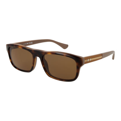 Web Brown Acetate Sunglasses1728,67345776800,Accessories,Brown,Glasses and Sunglasses - Accessories,Men,New with tags,Sunglasses - Glasses and Sunglasses - Accessories,Web